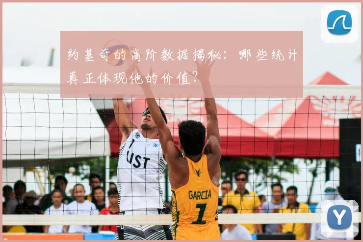 约基奇的高阶数据揭秘:哪些统计真正体现他的价值?