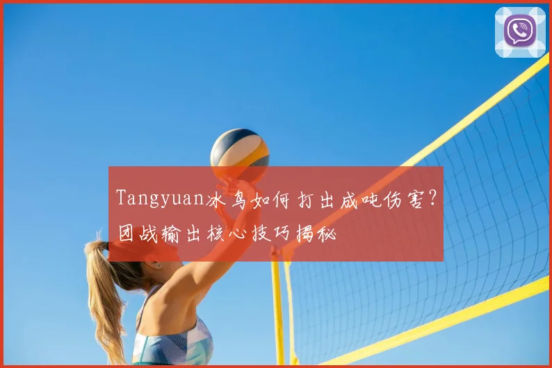 Tangyuan冰鸟如何打出成吨伤害？团战输出核心技巧揭秘